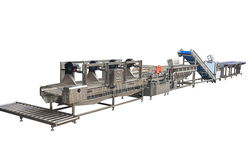 葉菜凈菜加工設備生產線